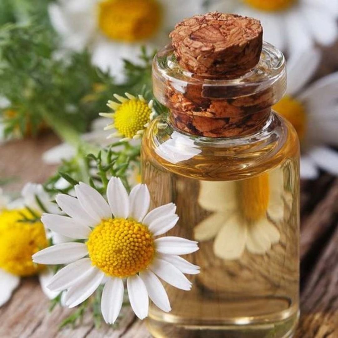 Chamomile Oil